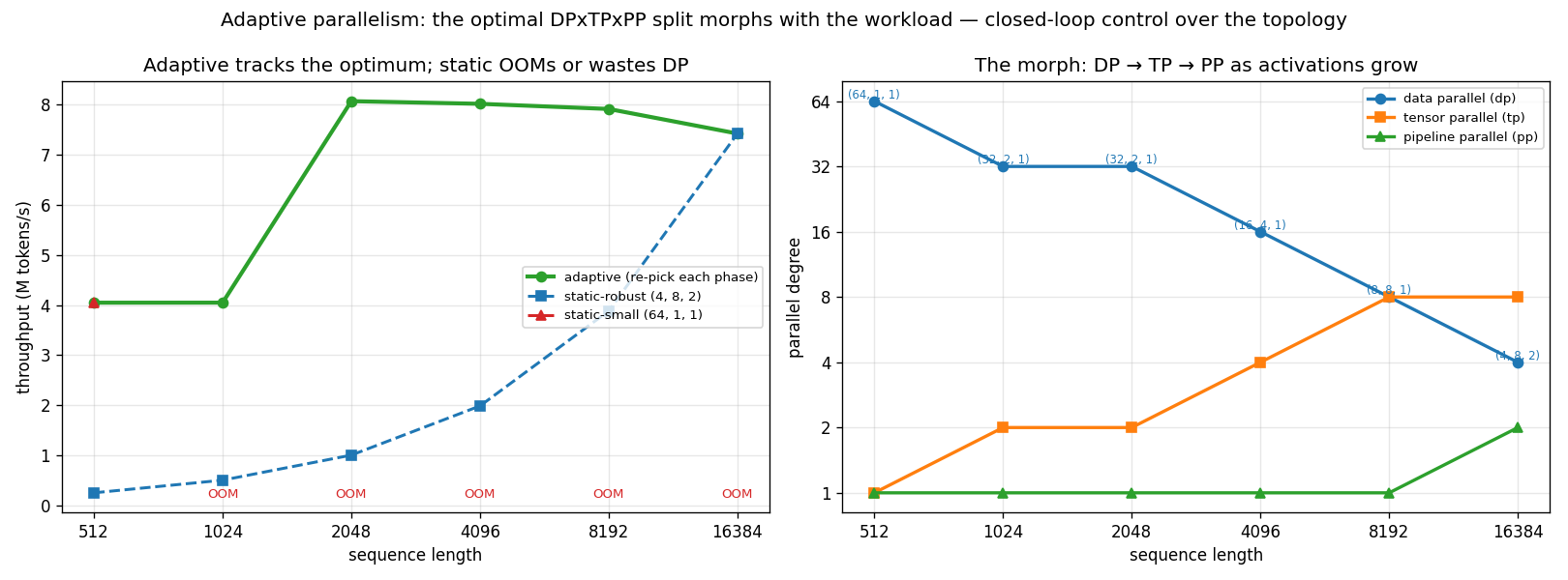 Left: throughput per phase — the adaptive controller stays on the ceiling, static-small OOMs past the first phase, static-robust ramps up from far below. Right: the chosen (dp, tp, pp) as sequence length grows — dp falls from 64 to 4, tp climbs from 1 to 8, and pp finally engages.